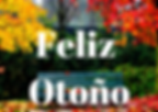 imagenbonita14 (1).png