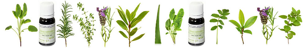 Aromaterapia... ¡Descúbrela! (nov 2018) | Blog Farmacia Japi - Farmacia Japi (6)