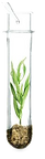 Farmacia Japi Natural | C.C. Rincón de la Victoria - Farmacia Japi (7)