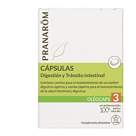 ¿Comidas Abundantes? ¿Dolor de estómago? (dic 2016) | Blog Farmacia Japi - Farmacia Japi (5)