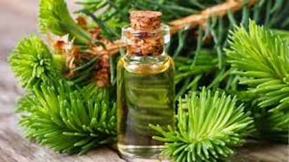 Descubre: Ciprés (dic 2018) | Blog Farmacia Japi - Farmacia Japi (2)