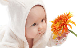 Cute-baby-take-the-flower_2560x1600.jpg
